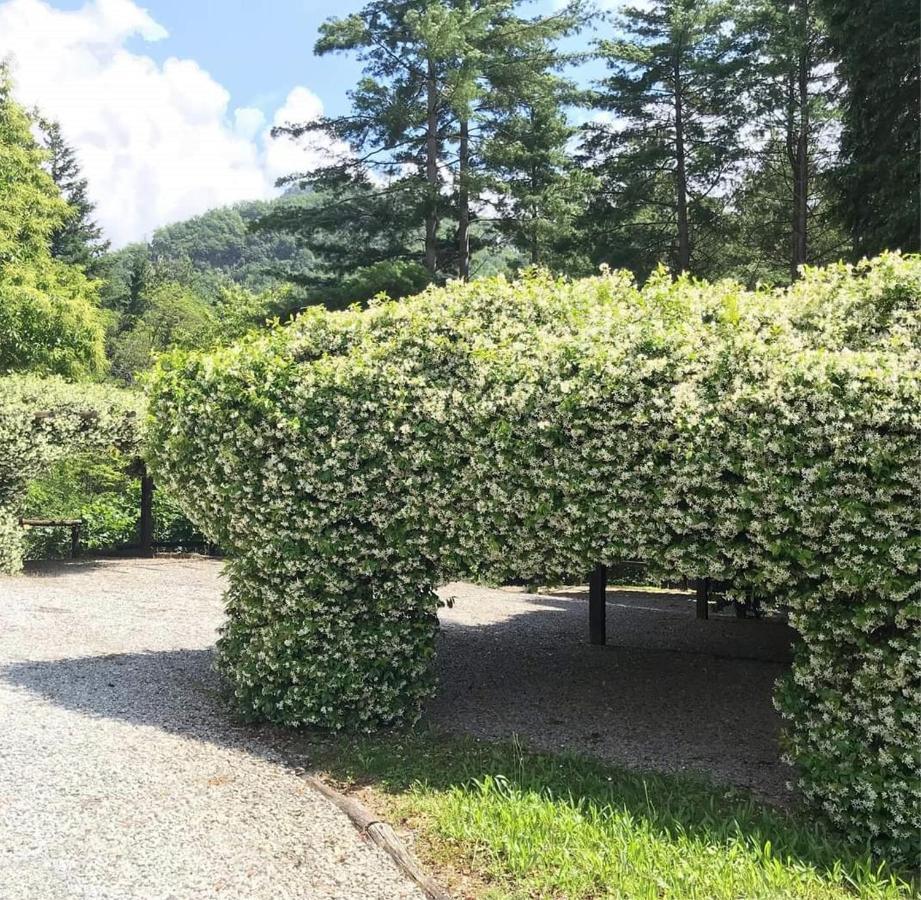 Il Bosco di Campo Marzano Garden Apartment Borzonasca Exterior foto