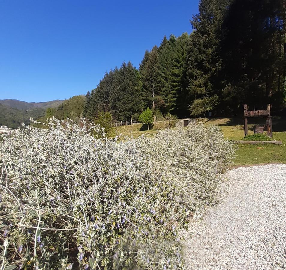 Il Bosco di Campo Marzano Garden Apartment Borzonasca Exterior foto